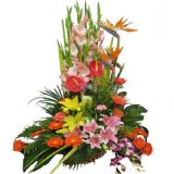 昌吉鲜花速递