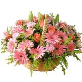 昌吉鲜花速递